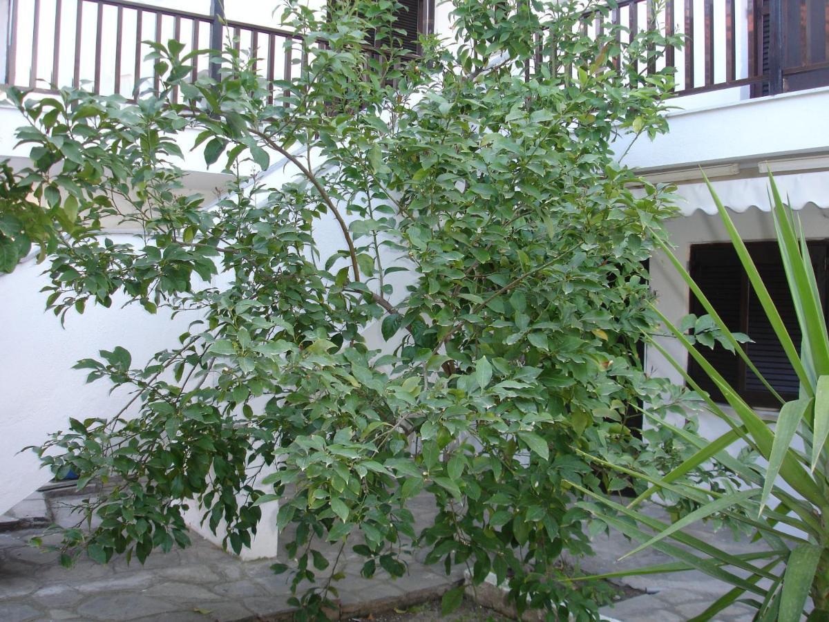 Dionysus-Mihanicus Ierissos Exterior foto